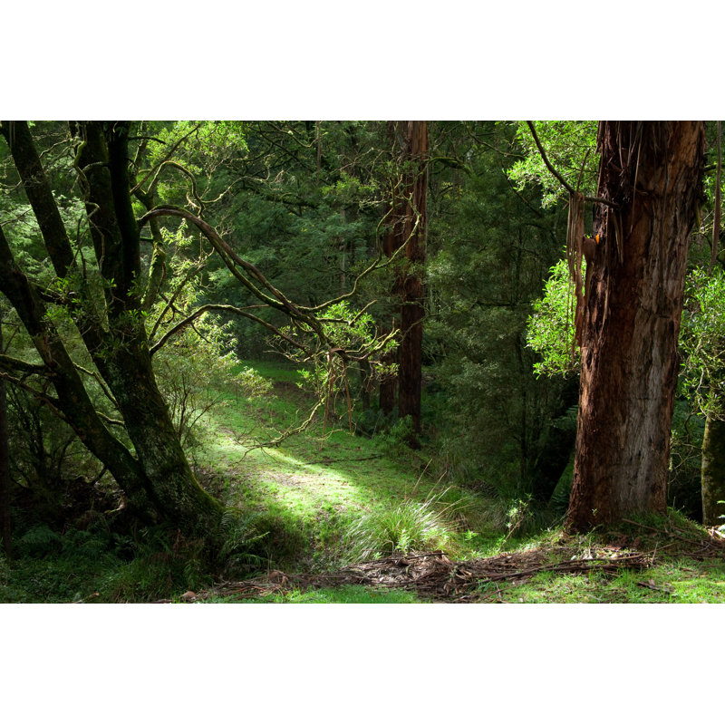 Where To Go - Wrapped Canvas Print, 30cm H x 46cm W