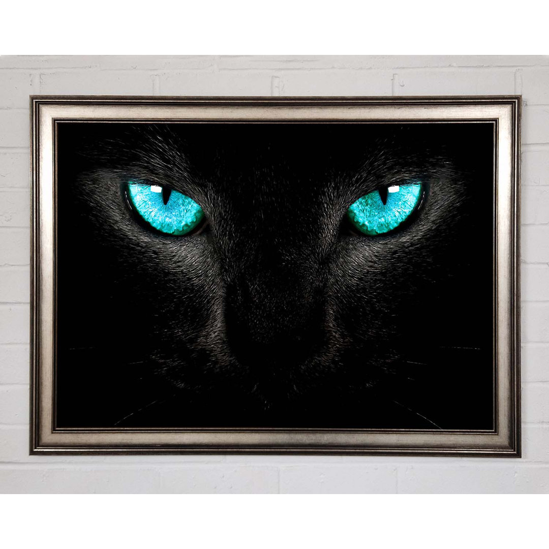 Blue Eyes Cat - Einzelne Bilderrahmen Kunstdrucke