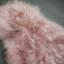 Abrahamson Solid Colour Sheepskin 65cm X 95cm Area Rug