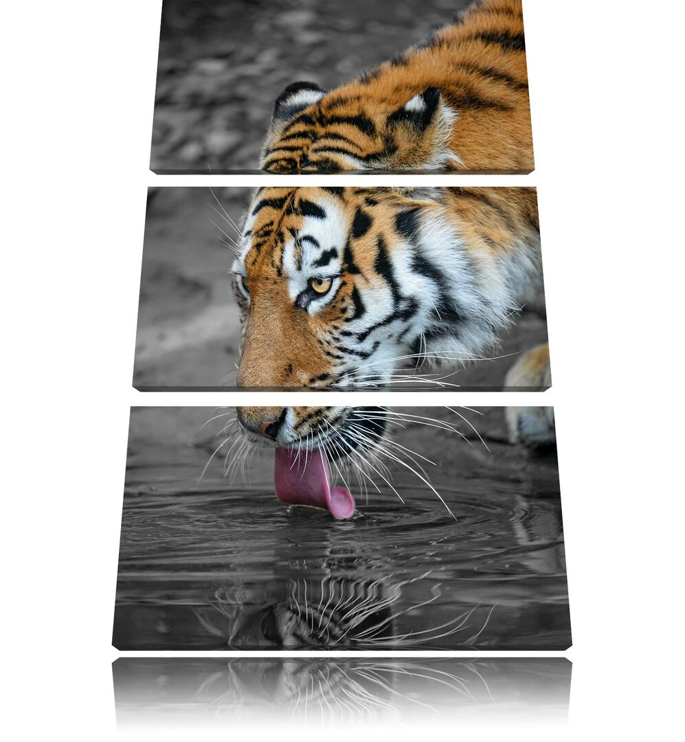 3-tlg. Leinwandbilder-Set „Stolzer Tiger am Wasser“, Fotodruck