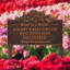What is a Weed Garden Lawn Plaque-922114479-922114517