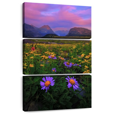 Alvord Glacier Park Flower Field