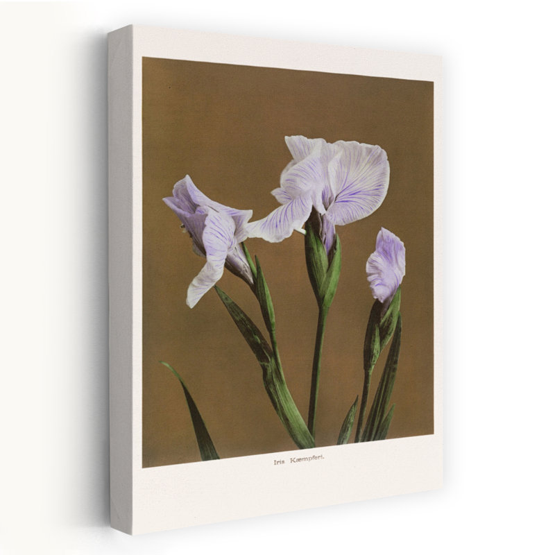 Art contemporain rétro fleur rétro, H 18 po x l 12 po