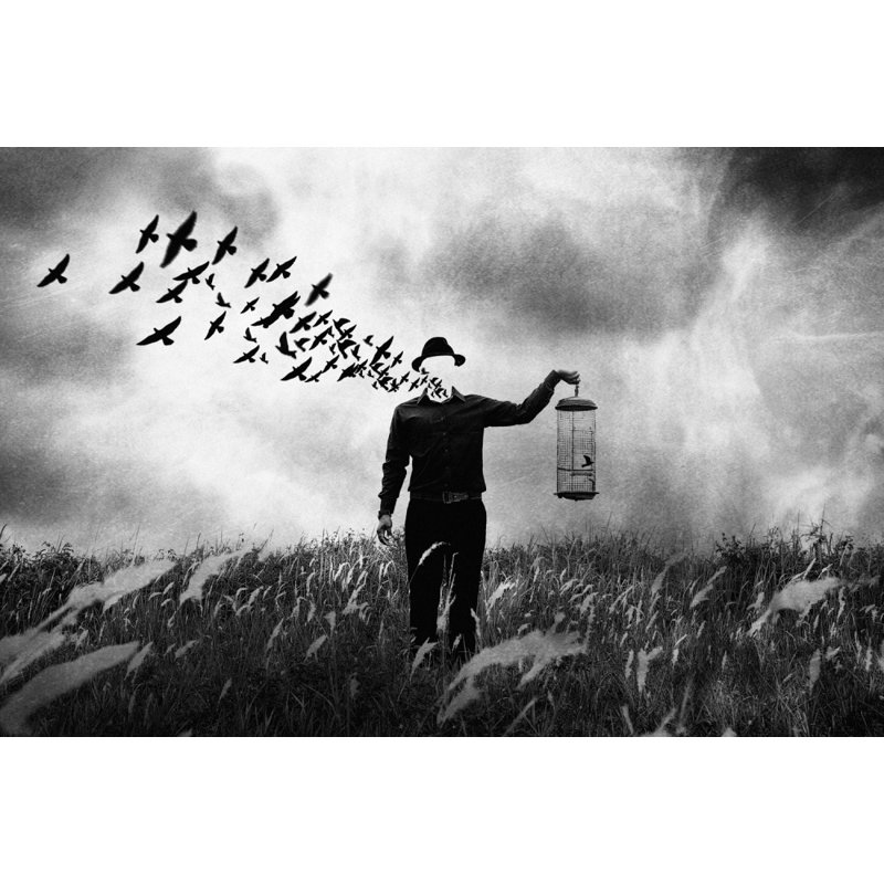 Wrapped Canvas Print, 60.96 cm H x 91.44 cm W