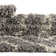 Foundry Select Ruth Trellis Shag Rug Gray