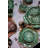 Bordallo Pinheiro Cabbage Natural Serving Bowl