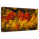 Fall Colored Trees