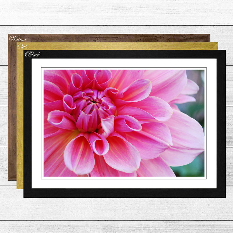 Flower Pink Blossom Framed Photographic - Framed Print, Black