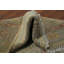 Tapis turc Oushak 3 x 4