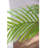 74.8'' Faux Fern Tree in Cement Pot