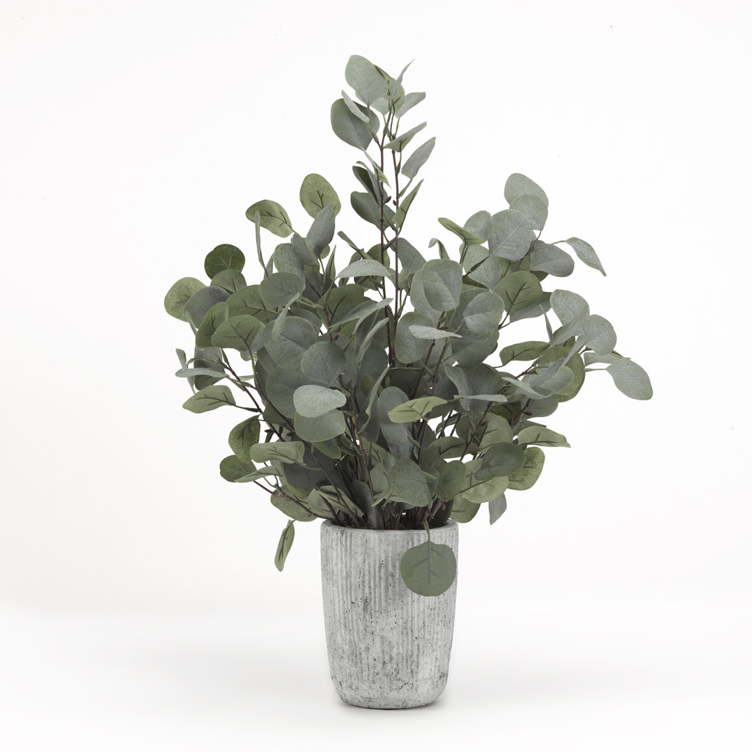 24'' Faux Eucalyptus Branch in Cement Planter Primrue