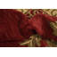 Tapis indien rouge à motif floral 6 x 10