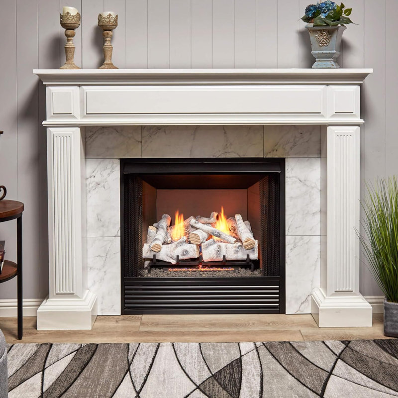 Bluegrass Living Vent Free Dual Fuel Gas Log Set - Birch Wood, 30,000 BTU, Remote Control - Model# B18DR-UL3