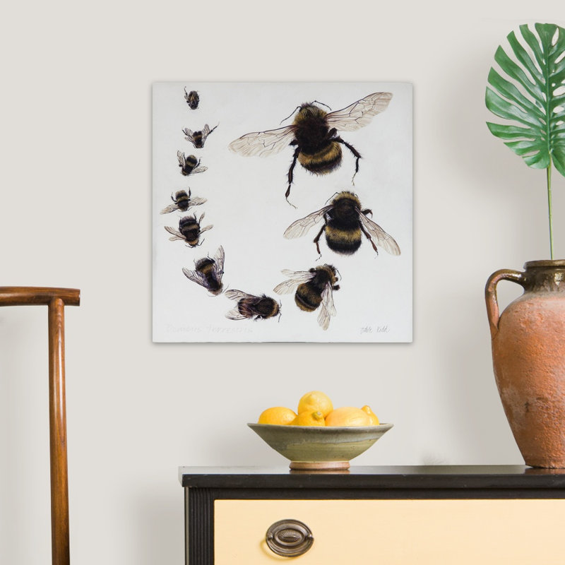 Bombus, 2015 - reproduction d'art, H 20 po x l 20 po x P 1,25 po, Toile tendue
