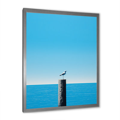 " Seagull Silence Minimalism Horizon "