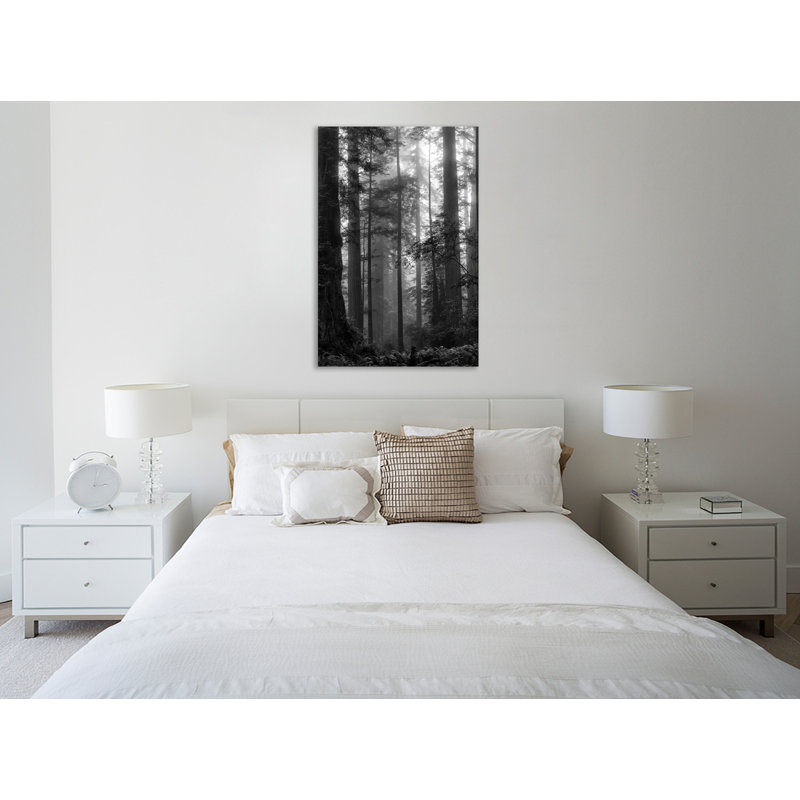«North Coast Redwoods BW», toile tendue par Dianne Poinski, H 36 po x l 24 po x P 1,5 po
