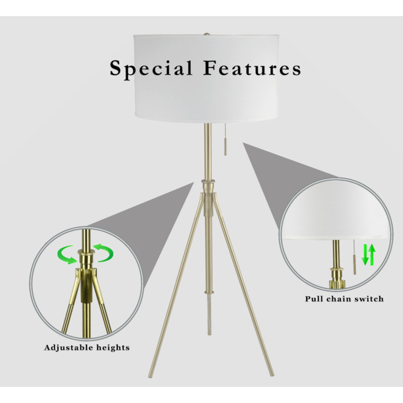 Wachovia 72'' LED Tripod Floor Lamp, Black