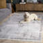 Tapis abstrait Platinum Performance-1838213244