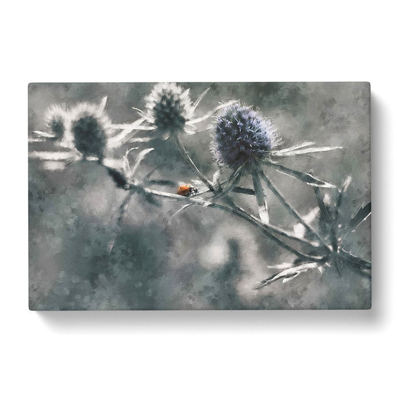 Ladybird Upon A Thistle Flower - Wrapped Canvas Print, 35cm H x 50cm W x 3cm D