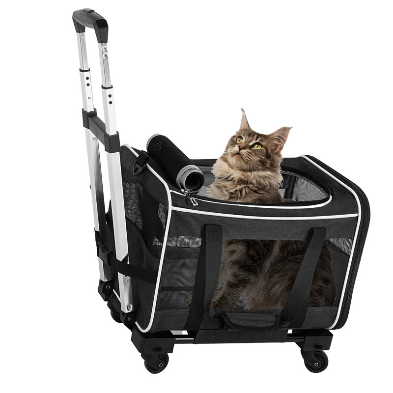 Pet Carrier