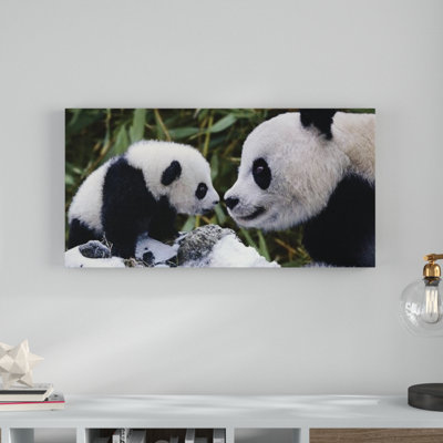 Steve Bloom - Print