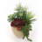 Artificial Succulent (Set of 6) 