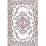 Washable Oriental Indoor Rug