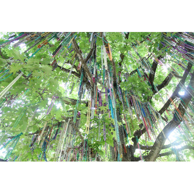 «New Orleans Mardi Gras Tree» par Javier Gonzalez - photographie sur toile tendue