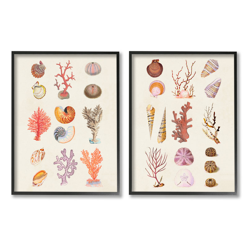 «Varied Aquatic Sea Life» par Vision Studio - ensemble de 2 impressions sur bois, H 14 po x l 22 po x P 1,5 po