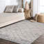 Tapis gris clair Coddington-2033839601