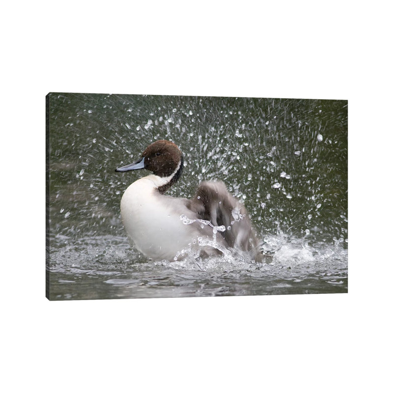 Bath Time II by Mateusz Piesiak - Wrapped Canvas Print, 20.32 cm H x 30.48 cm W
