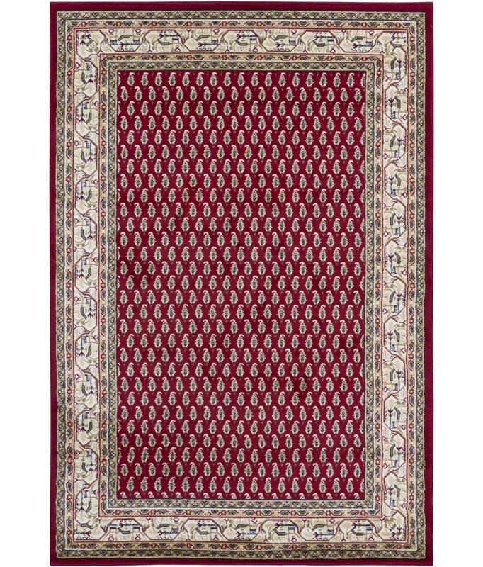 Tapis intérieur crème en polypropylène tissé à la machine Collingdale, 8 pi x 11 pi