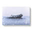 The Solheimasandur Plane Wreck In Iceland - Wrapped Canvas-55358842
