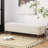 Teddy Upholstered Ottoman-1013865940
