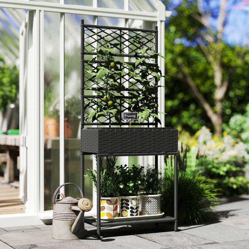 Raised Garden Bed with Trellis, Outdoor Wicker Planter, Freestanding Rattan Planter Stand with Storage Shelf for Climbing Plants, Flowers, Herbs, Vegetables