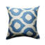 Cevaz Silk Square Pillow Cover & Insert