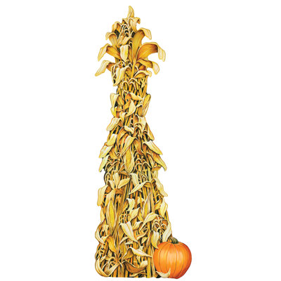 Thanksgiving No Animal(s) Plants & Flowers Decorative Accent