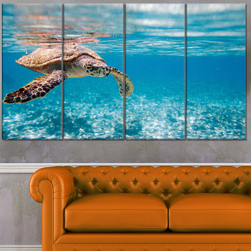 « large hawksbill sea turtle », ensemble de 4 reproductions de photos sur toiles tendues
