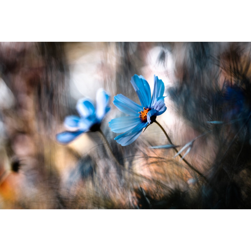 Wrapped Canvas Print, 91.44 cm H x 60.96 cm W