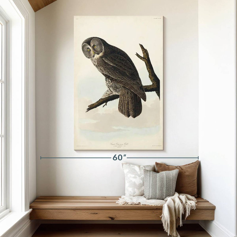 Brampt Great Cinereous Owl, 51" H x 34" W