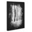 Forest Blur - Wrapped Canvas-56645433