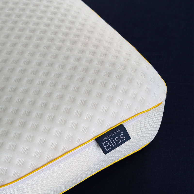 Snuggledown Blissful Breathable Memory Foam Zipped Cover Pillow Firm Support Side Sleeper 64x38cm
