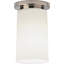 Nina 1 - Light Flush Mount