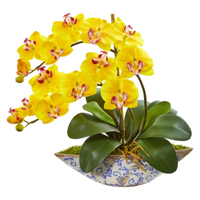 Orchid Arrangement in Vase