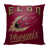 Elon University