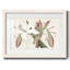 Amaryllis Varietals II, reproduction d'art encadrée-252790635-252790638