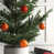 Orange brûlé