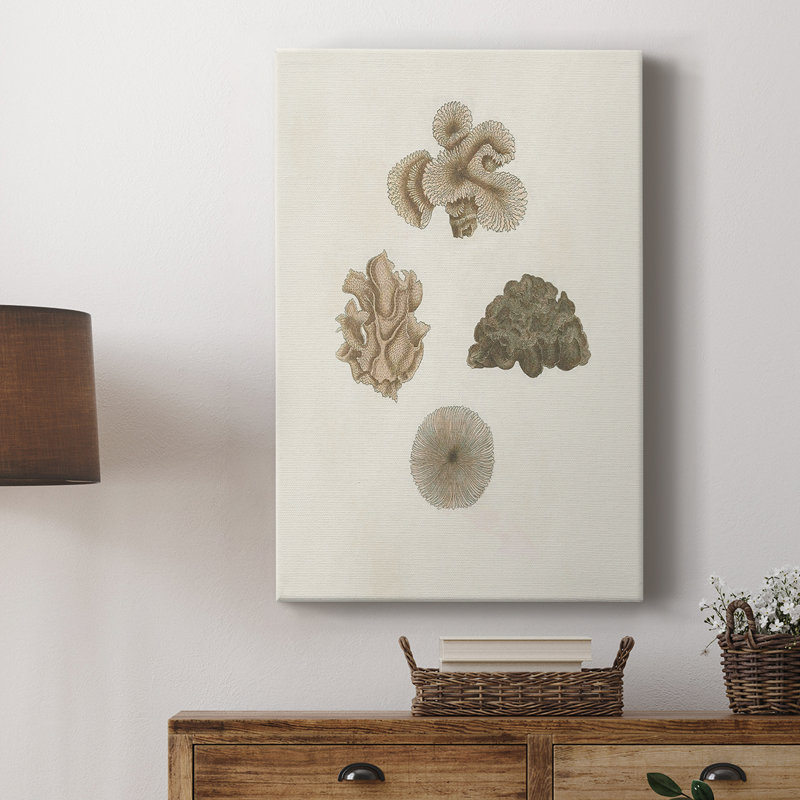 Coquillages Knorr et corail - galerie Cavas sur mesure, H 18 po x l 12 po
