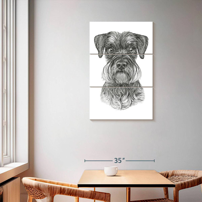 Brampt Schnauzer, 57'' H x 36'' W