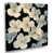 Toile tendue